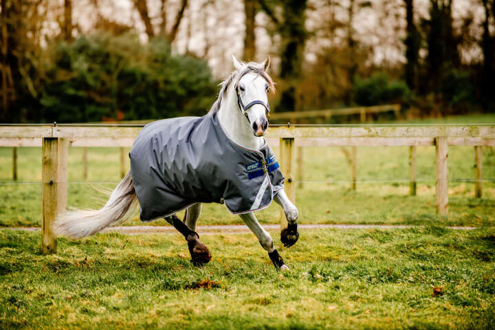 HORSEWARE AMIGO Outdoordecke Bravo 12 100 g Turnout